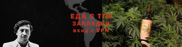 индика Дмитровск
