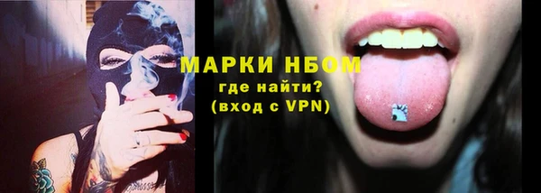 индика Дмитровск