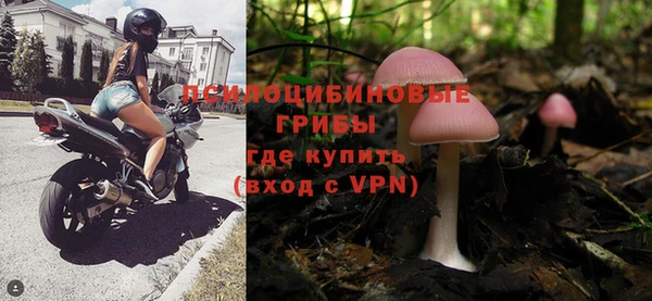 гашик Лихославль