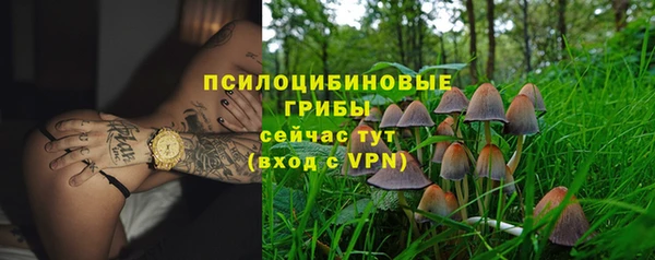 индика Дмитровск