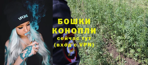 твердый Лиски