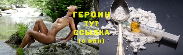 индика Дмитровск